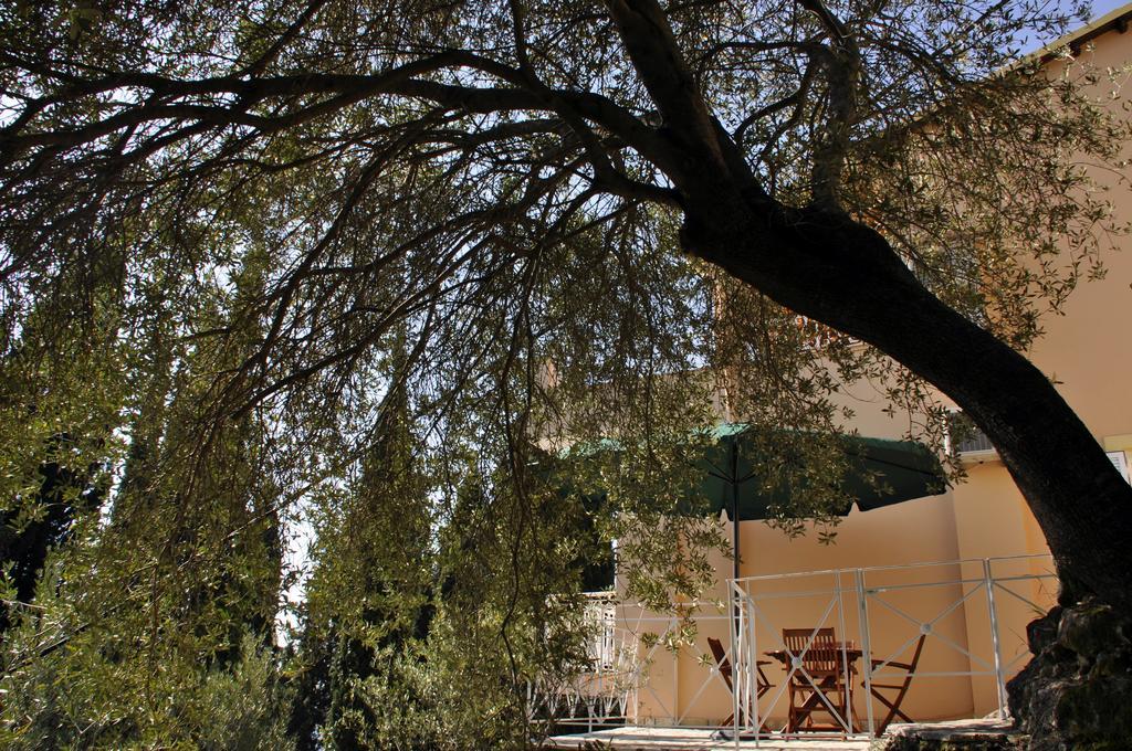 Stella'S Apartments Agios Gordios (Corfu) Exterior foto